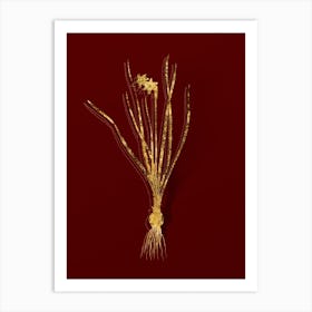 Vintage Rush Leaf Jonquil Botanical in Gold on Red Art Print