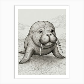 Walrus 7 Art Print