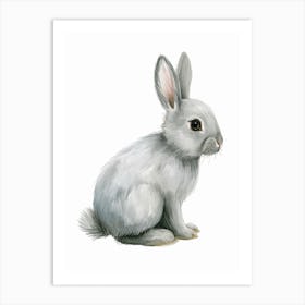 English Silver Rabbit Kids Illustration 2 Art Print