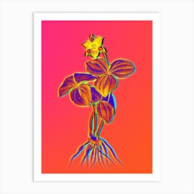 Neon Trillium Rhomboideum Botanical in Hot Pink and Electric Blue n.0143 Art Print