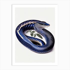 Indigo Snake Vintage Art Print