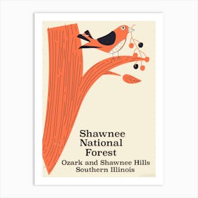 Shawnee National Forest Art Print