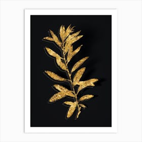 Vintage Rhodora Botanical in Gold on Black n.0377 Art Print