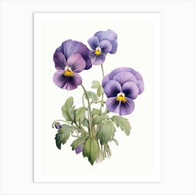 Pansies Flower Vintage Botanical 3 Art Print