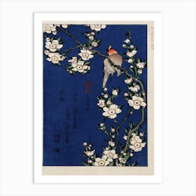 Robin On A Branch Of Cherry Blossom, Katsushika Hokusai Art Print