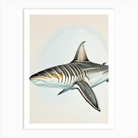 Tiger Shark Vintage Art Print