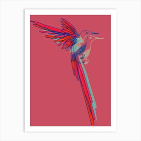 Hummingbird004 Art Print