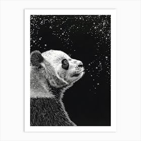 Giant Panda Looking At A Starry Sky Ink Illustration 4 Art Print