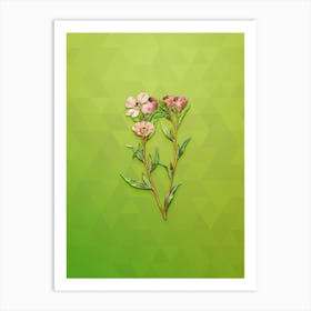 Vintage Pale Amaryllis Botanical Art on Love Bird Green n.1096 Art Print