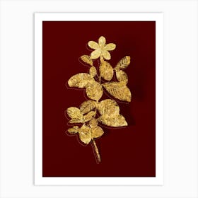 Vintage Gardenia Botanical in Gold on Red n.0155 Art Print