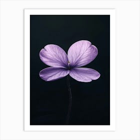 Purple Flower On Black Background 2 Art Print