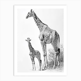 Pencil Portrait Of Giraffe Mother & Calf 2 Art Print
