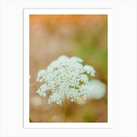 White Flower Art Print