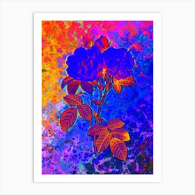 Italian Damask Rose Botanical in Acid Neon Pink Green and Blue n.0160 Art Print