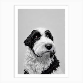 Portuguese Water Dog B&W Pencil Dog Art Print