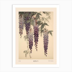 Fuji Wisteria 1 Vintage Japanese Botanical Poster Art Print