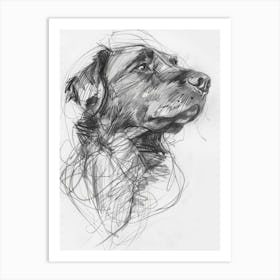 Newfoundland Dog Charcoal Line 1 Art Print