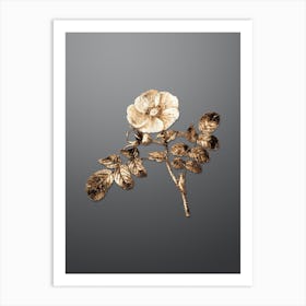 Gold Botanical Japanese Rose on Soft Gray n.1031 Art Print