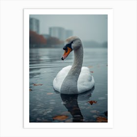 Swan In The Park Art Print