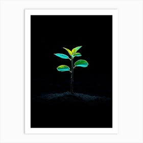 Small Green Plant On Black Background 22 Art Print