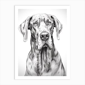 Great Dane Dog, Line Drawing 3 Art Print