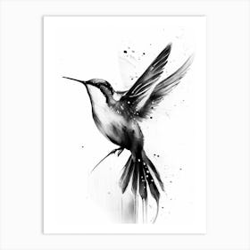 Hummingbird Symbol Black And White Painting Art Print