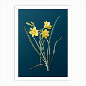 Vintage Daylily Botanical Art on Teal Blue n.0178 Art Print