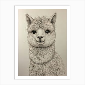 Alpaca 1 Art Print