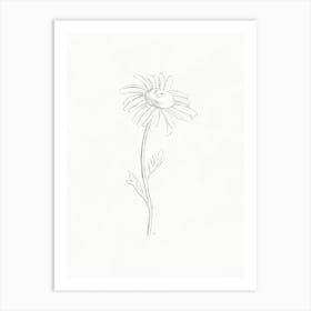 Daisy Pencil Drawing 2 Art Print