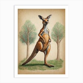 Kangaroo 1 Art Print