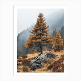 Autumn Trees In The Mountains Art Print