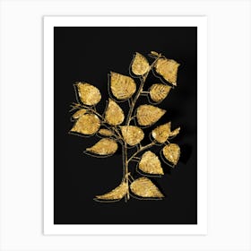Vintage Paper Birch Botanical in Gold on Black n.0044 Art Print