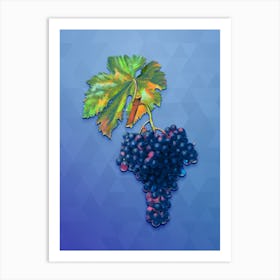 Vintage Fuella Grapes Botanical Art on Blue Perennial n.1229 Art Print