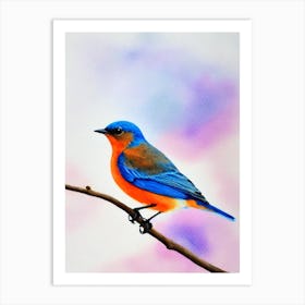 Eastern Bluebird 2 Watercolour Bird Art Print