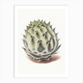 Lophophora Williamsii Marker Art Art Print