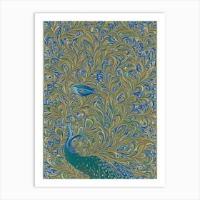 Peacock 31 Art Print