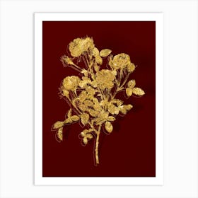 Vintage Burgundian Rose Botanical in Gold on Red n.0022 Art Print
