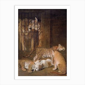 Lion And Tigress Art Print