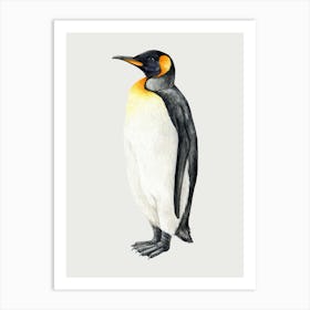 King Penguin Art Print