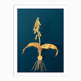 Vintage Watsonia Botanical in Gold on Teal Blue n.0306 Art Print