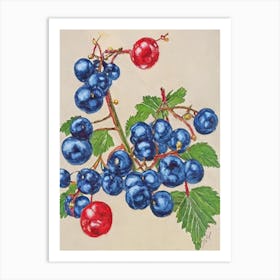 Redcurrant Vintage Sketch Fruit Art Print