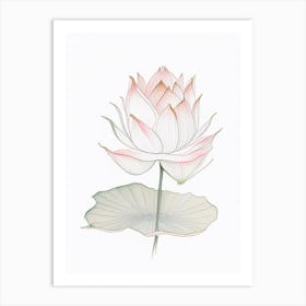 Sacred Lotus Pencil Illustration 3 Art Print