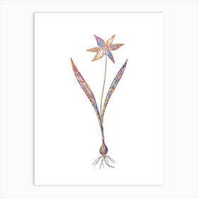 Stained Glass Tulipa Celsiana Mosaic Botanical Illustration on White Art Print