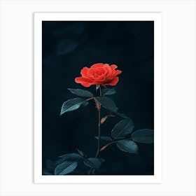 Dark Rose 86 Art Print