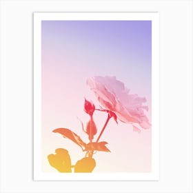 Rose Pastel Art Print