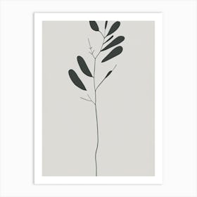 Alfalfa Herb Simplicity Art Print