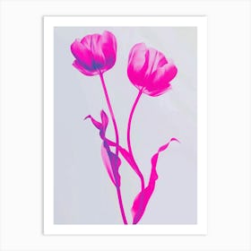 Hot Pink Tulip 3 Art Print