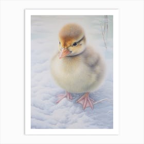 Icy Duckling Pencil Illustration 1 Art Print