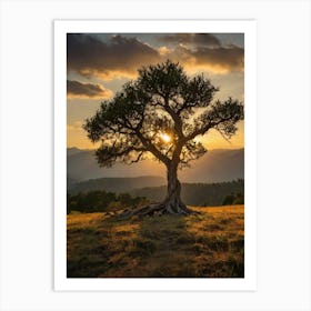 Lone Tree At Sunset 2 Art Print