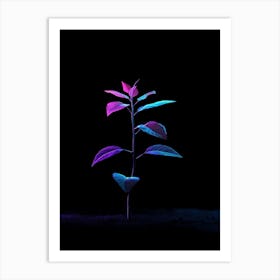 Plant On A Black Background 4 Art Print